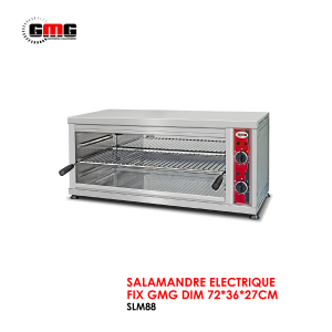 SALAMANDRE ELECTRIQUE FIX GMG SLM88 300x300