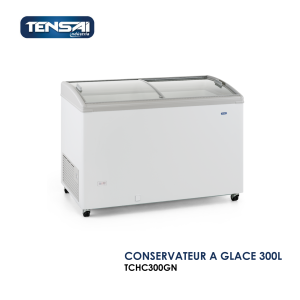 CONSERVATEUR A GLACE 300L TCHC300GN 300x300