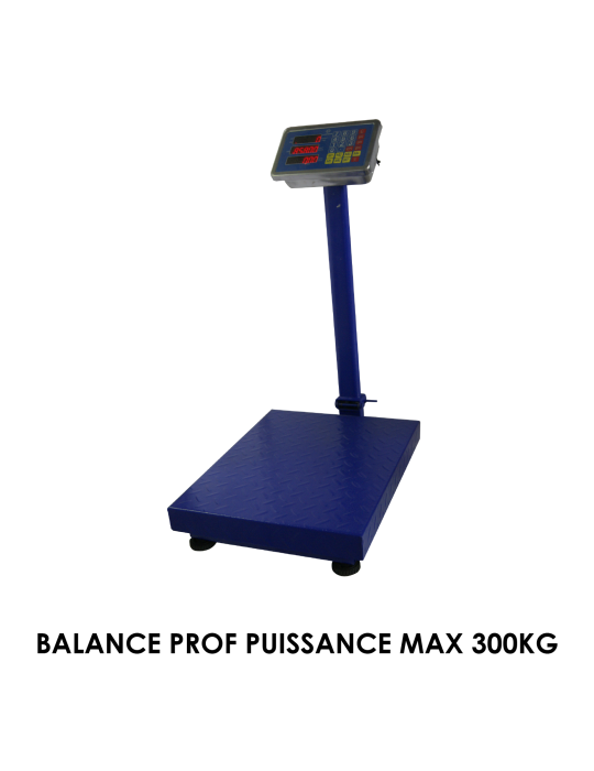 BALANCE PROF PUISSANCE MAX 300KG